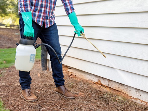 Outdoor insecticide sprayer for lawn and landscape pest control