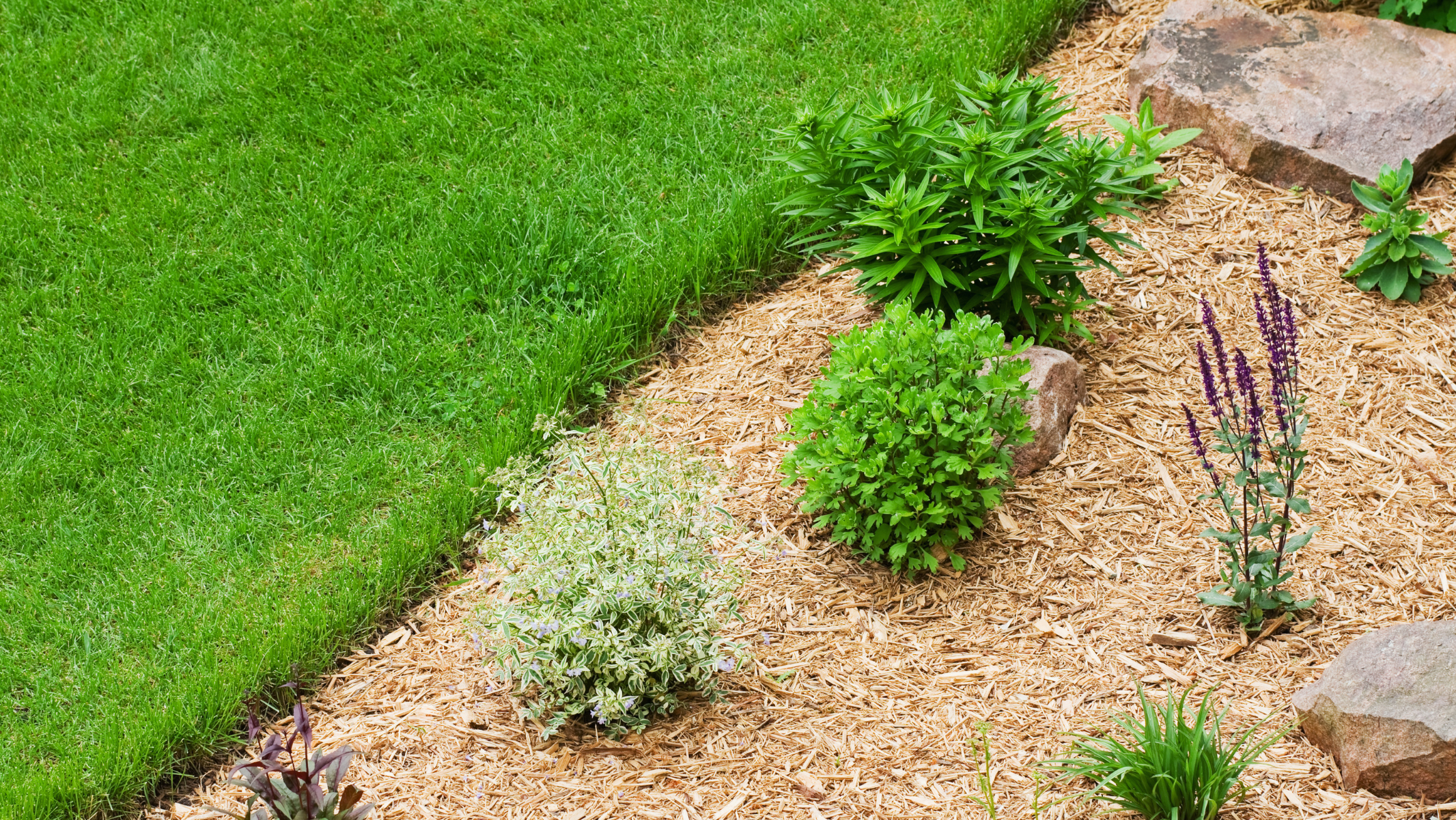 Hardwood mulch for landscaping and garden beds