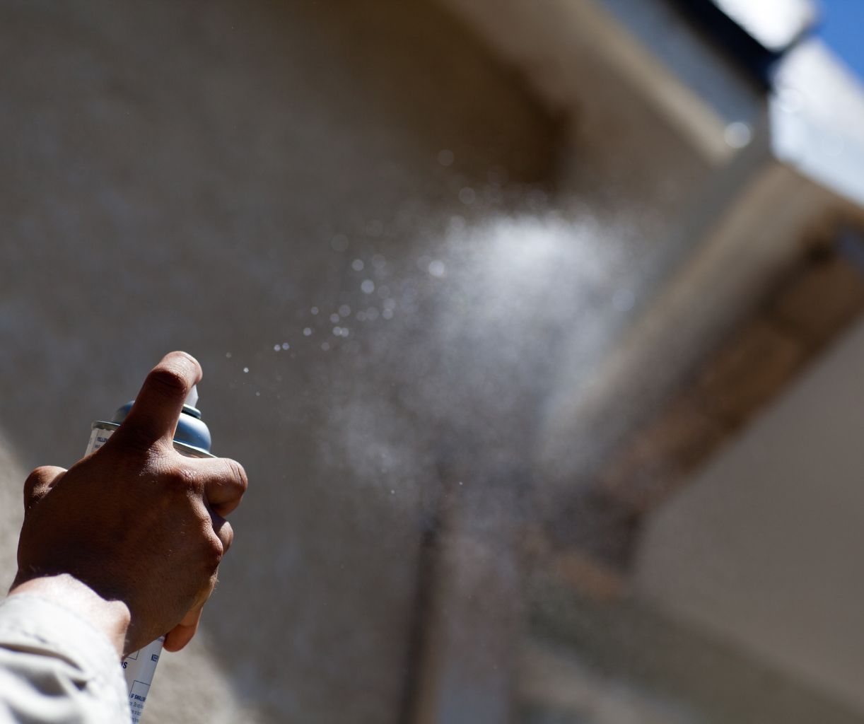Aerosol insecticide spray