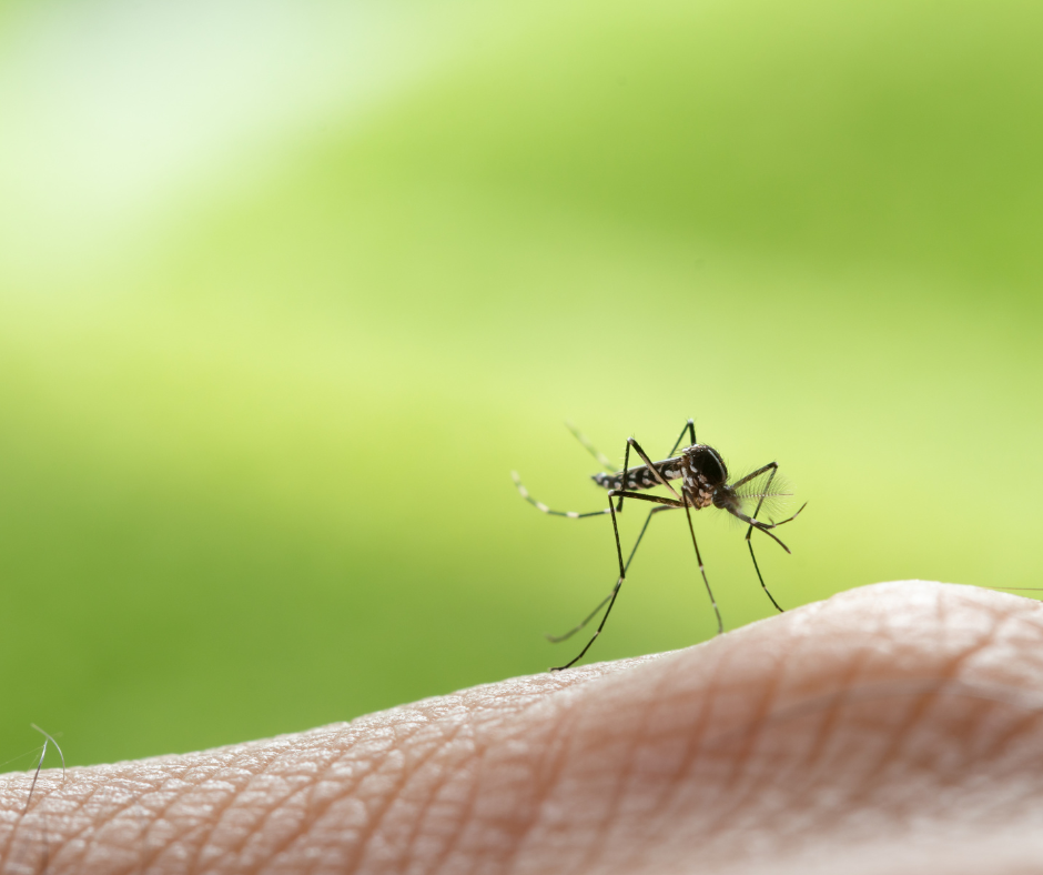 Mosquito control and outdoor insect management