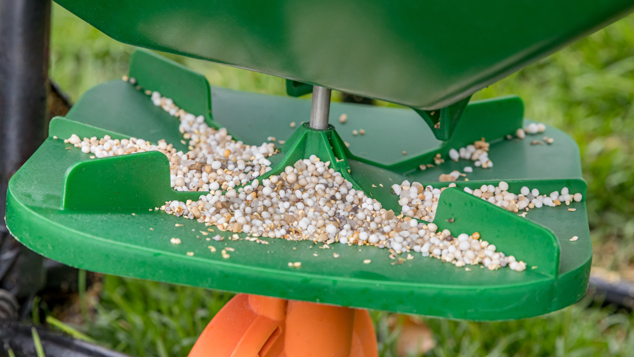 Applying pre-emergent herbicide for lawn weed prevention