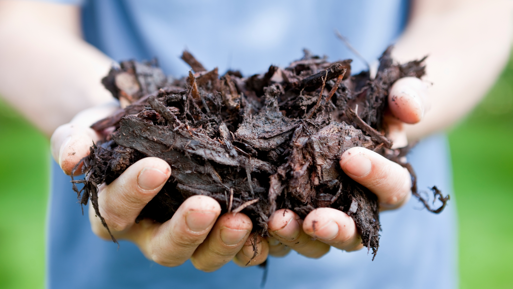 Hardwood mulch used around landscape plants
