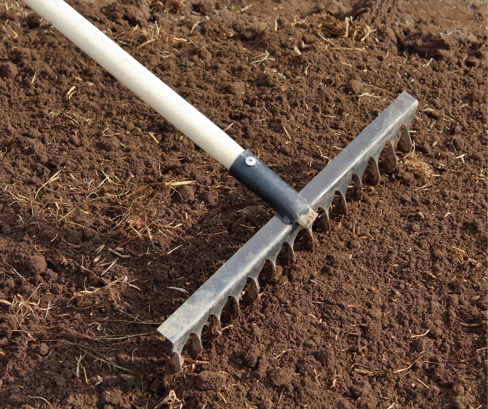 Preparing soil before landscape fabric installation